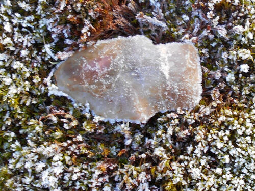 A frosty surface artifact