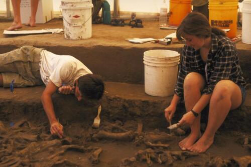Excavating bison bones at Hudson-Meng, Nebraska