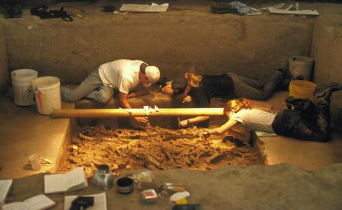 Excavation 10,000 year-old bison. Hudson-Meng, Nebraska