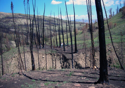 Burned landscape: CSU 2007 Fieldschool