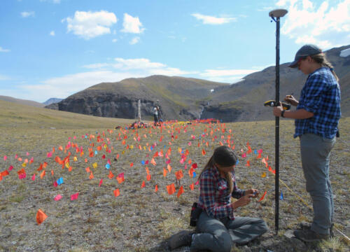 Recording artifacts in 5m wide sample transect