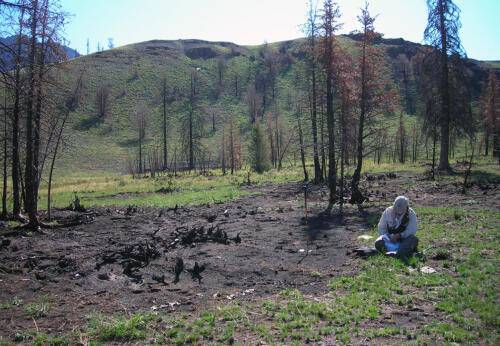 Burned landscape:  DSCN2296 GRSLE 2007 Todd