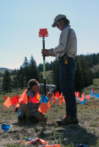Recording a surface site